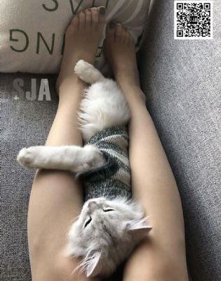 亚洲捆绑sm少妇毛片_高清日韩电影在线