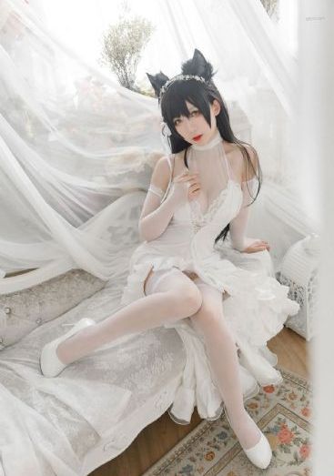 H全肉小黄文骚话_DVD全集免费观看